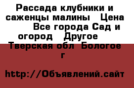 Рассада клубники и саженцы малины › Цена ­ 10 - Все города Сад и огород » Другое   . Тверская обл.,Бологое г.